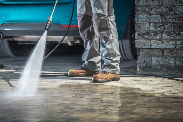 Best Boat and Dock Cleaning  in Shongopovi, AZ